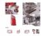 Máquina de Costura Elastiqueira 12 agulhas Cilíndrica Direct Drive Sun SpecialSSTC118-12064CE-DP-H-SU